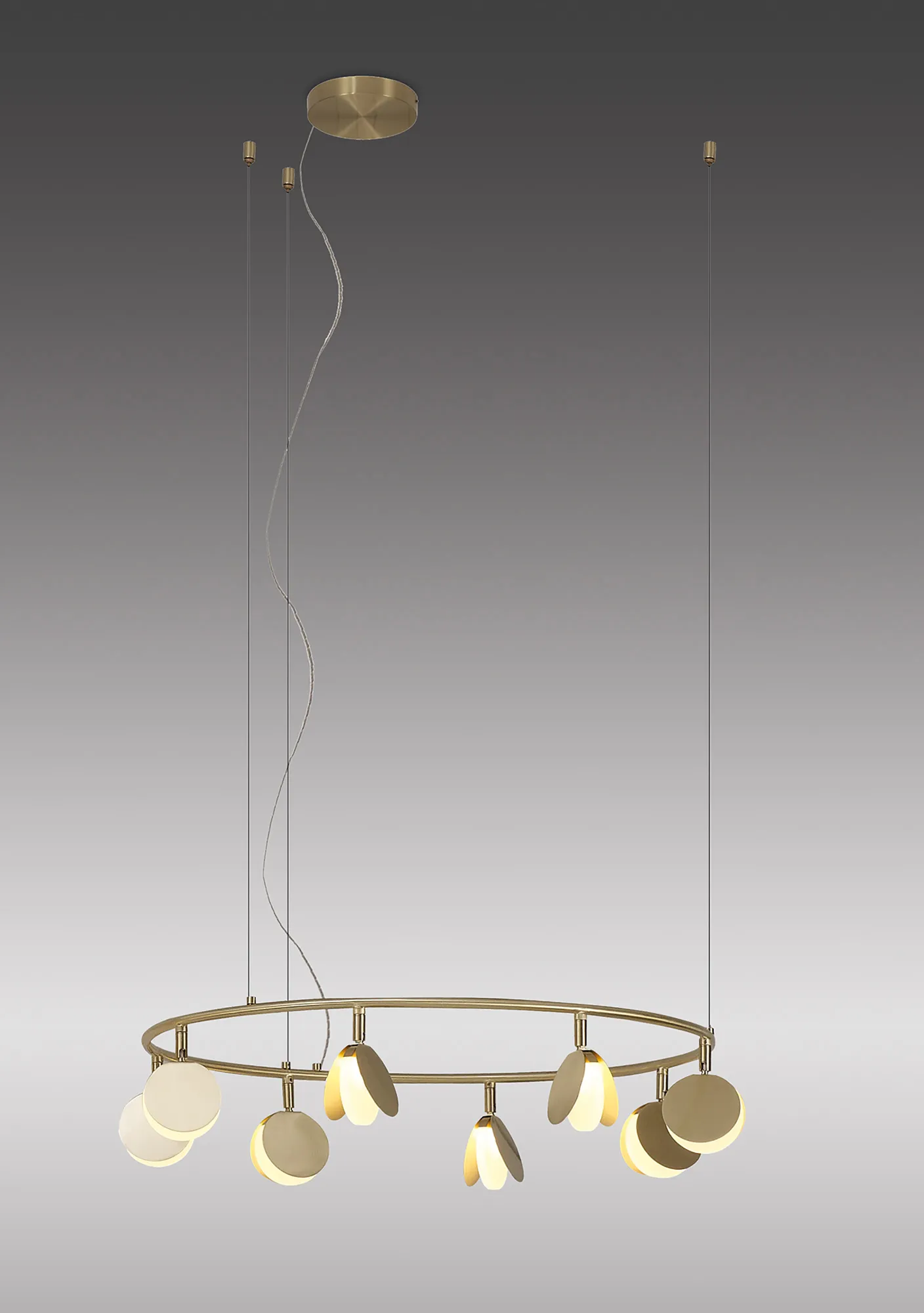 Shell Ceiling Lights Mantra Ring Pendants